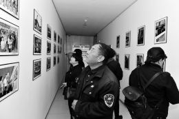 数字城管展风采