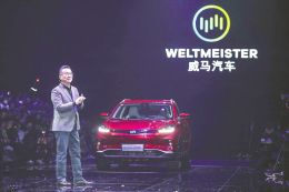 点击放大