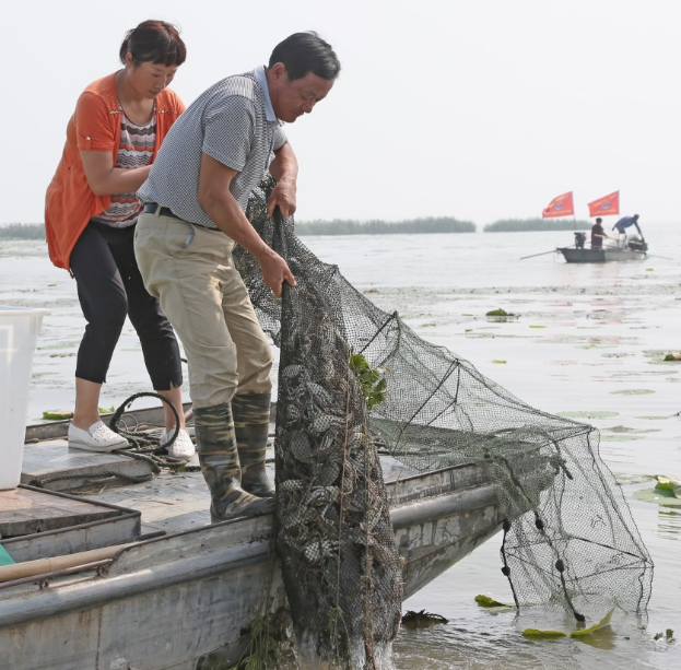 5年农民人均收入增万元!落实乡村振兴,看江苏