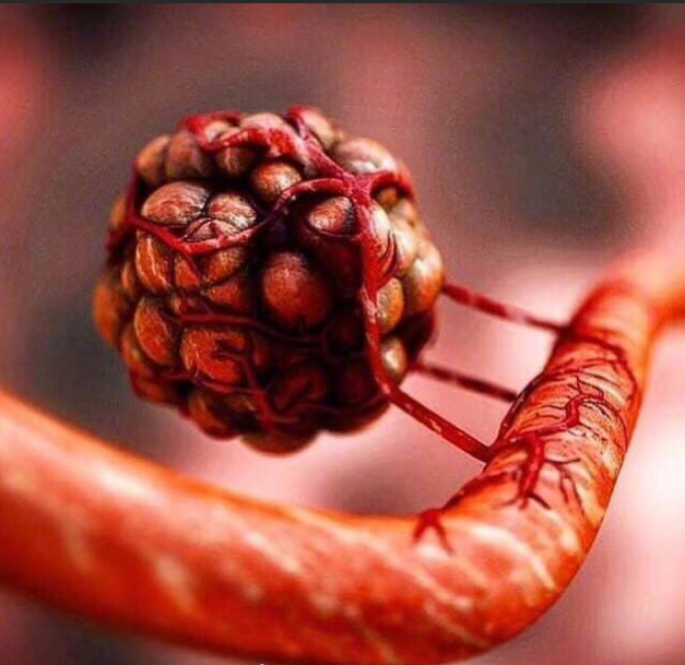 假扮医生就为了一顿饭? 每日轻松一刻3月10日周末版