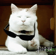 妙蛙种子冬天怎么戴帽子?戴在脑门上还是蒜头上?