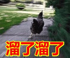 ËýÁ©Í¬¿ò²Ò²»È̶ã¬ÎªÉ¶ËýÕâôÈÝÒ×ÅÖ£¿