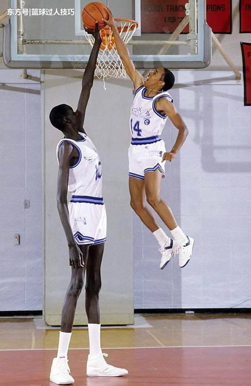 nba猛犸,nba猛犸象