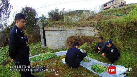 威尼斯手机娱乐官网 1