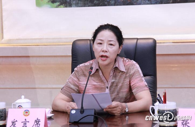 高争丽:陕西农村养老产业化发展仍处于粗放发