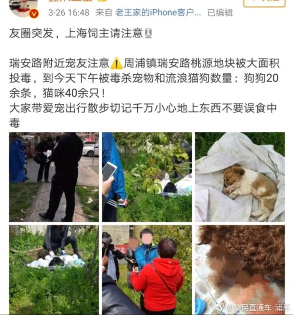 上海小区17只猫狗呕吐死亡 已交由专业部门鉴定