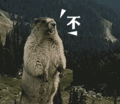 表情包|一组无系列的沙雕表情包,斗图必备