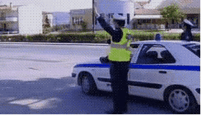 干婚纱新娘动态图_新娘婚纱图片(3)