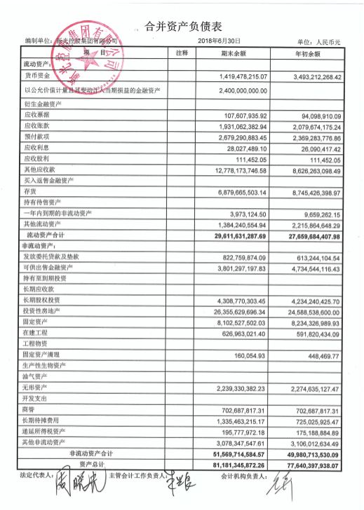 (新光集团2018年半年报)