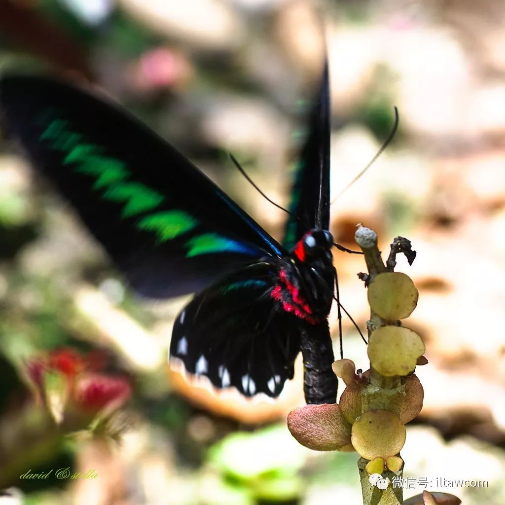 当“自由”遇见“解放”...
