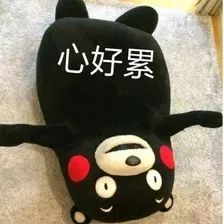 喜中有忧!厦门充电桩建设“井喷”,但还出现了这些问题……