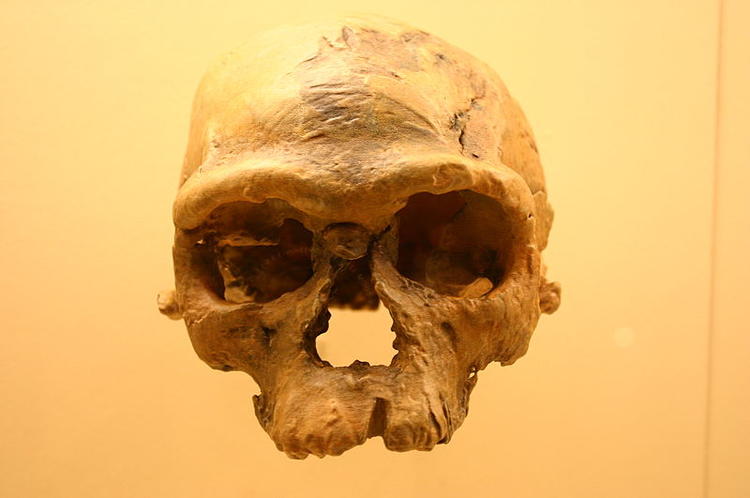 人类祖先曾两次“走出非洲”，第一次最早的证据在中国发现