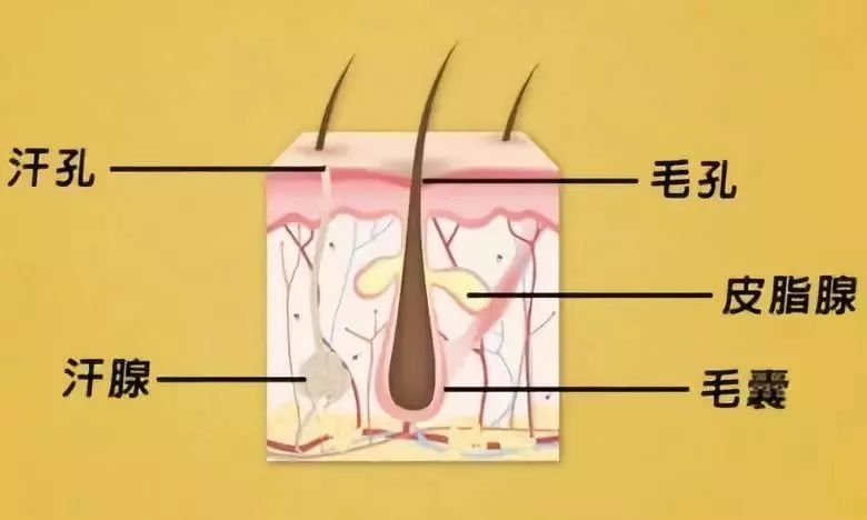 捂汗退烧,致一个月大婴儿死亡:出汗没那么神奇