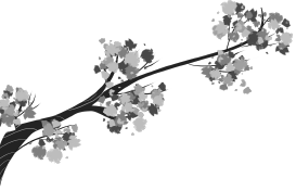 1月7日是7 January还是january 7