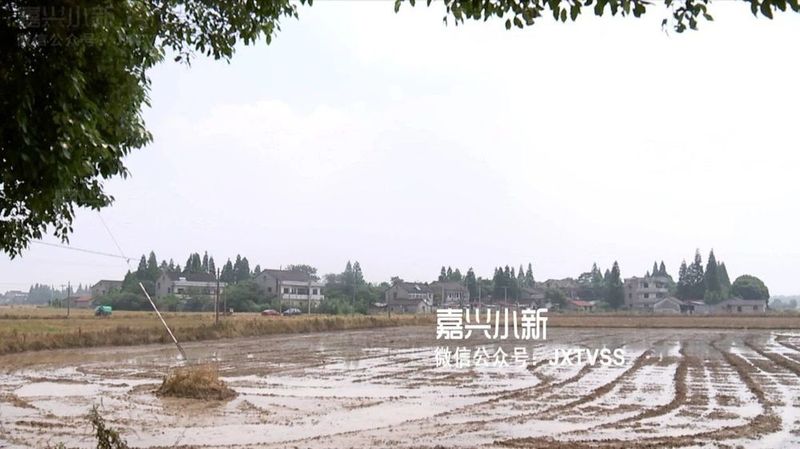 嘉兴机场征迁赔偿方案公布,四口之家最多可分