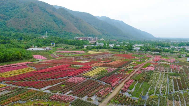 四川德阳:强化高质量发展战略支撑 着力打造四