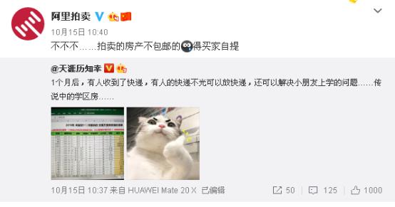 亚盘最正确的软件-外媒:新西兰华人遭入室盗窃 窃贼冻结手机转走钱财
