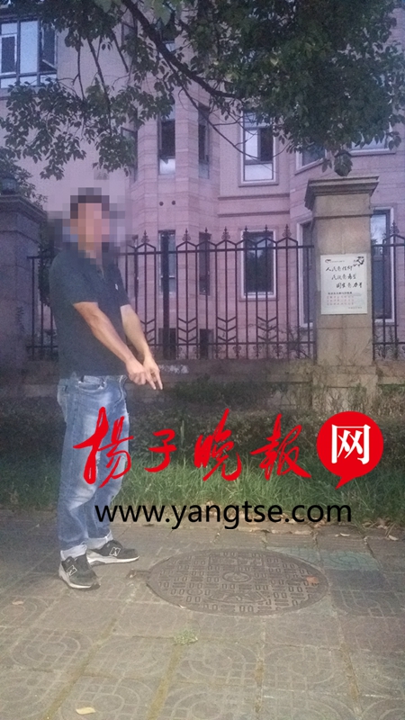 辛丰人口_人口普查(3)