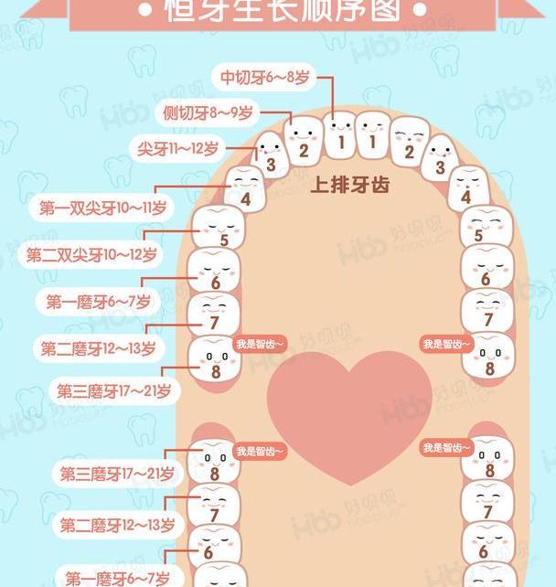6岁男孩乳牙没掉就冒出恒牙,医生直叹,都是奶奶这个习惯害了娃