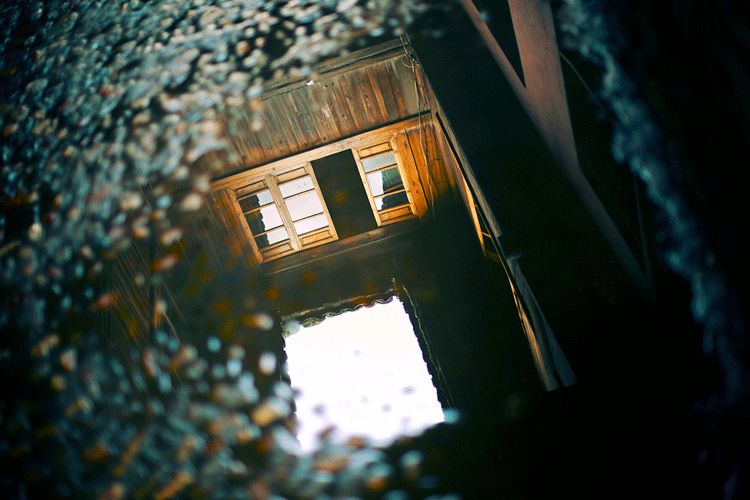 清明|我们为什么会害怕死亡?这是我听过最好