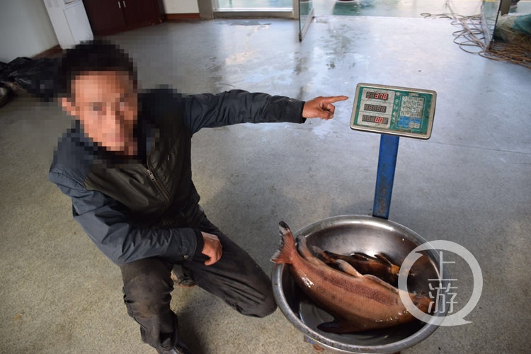 这种鱼是国家二级珍稀保护鱼类 两男子非法捕