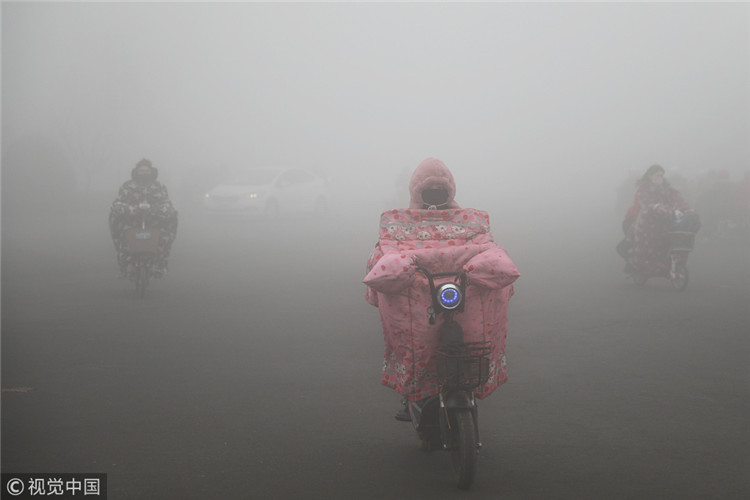 全国多地大雾天气持续 局地能见度不足50米