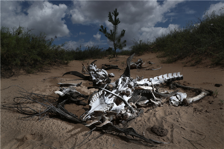 小壕兔乡人口_小壕兔乡项目规划图