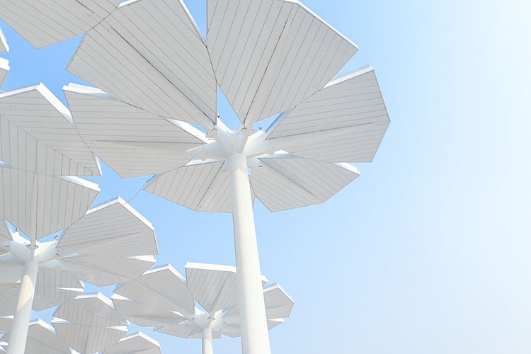 倒计时100天!北京世园会园区场馆抢先看 | 多图