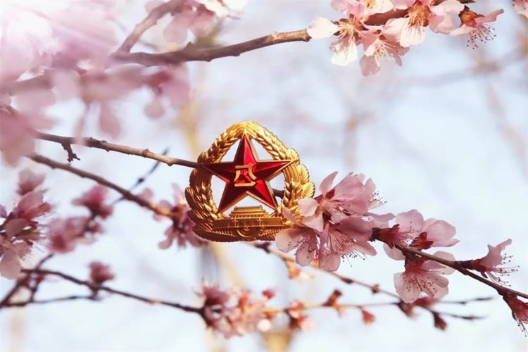 春天掠影,看铁锤子部队官兵们难忘的奋斗足迹