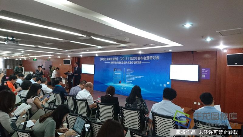 《社会组织蓝皮书:中国社会组织报告(2018)》