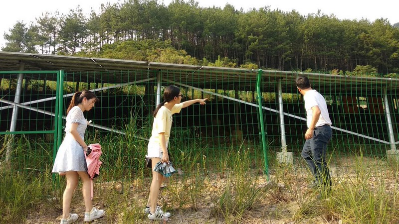 泉州审计:关注产业扶贫的可持续性