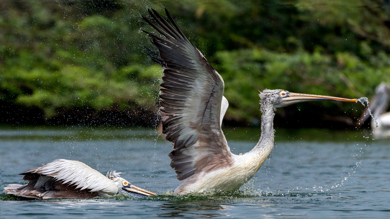 曼联大将比赛中收到卡里克纸条 英网友疯狂嘲讽