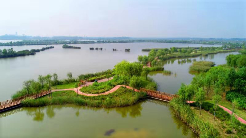 江苏沛县安国湖国家湿地公园