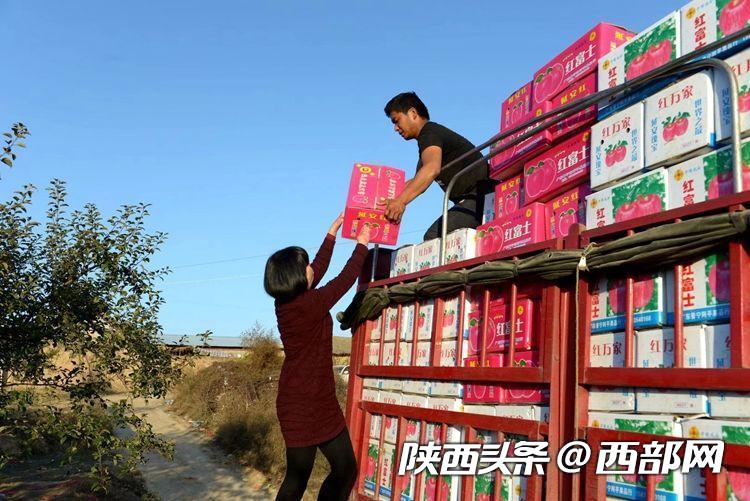 “三秦楷模” 付凡平：不向命运低头 走过平凡是不凡