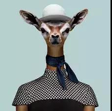 谁说大长腿就是性感的?当北极兔站起来露出大长腿后