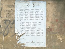 点击放大