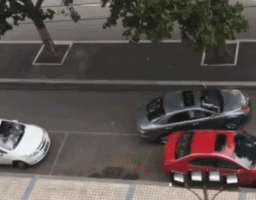 我拿你当宠物你却想上我 动图 你这是龟口夺食啊!