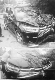 “日系中型SUV“最新资讯都在这了，就等你来