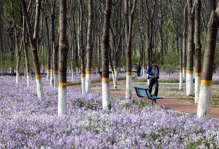 将府公园成居民身边“大绿肺”