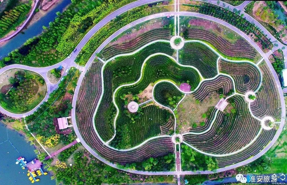 静享最美淮安 邂逅湖畔水韵