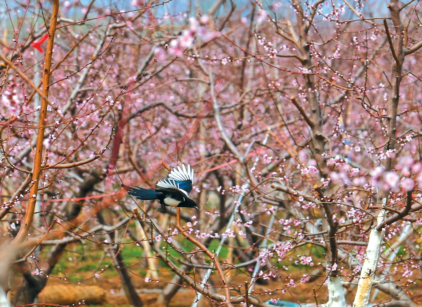 早读：新的一天，从这份新闻早餐开始