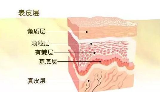 结构