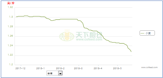 最新小麦行情和未来走势 DUBS-haysvix2195719.png