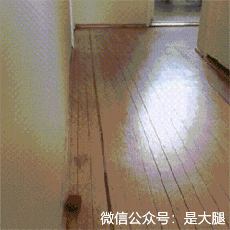 今天最搞笑的10个段子：在快手上你甚至能约到gay