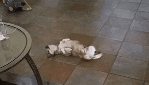 这车现在开会不会很冷?动图 妹子放学一起回家吗?