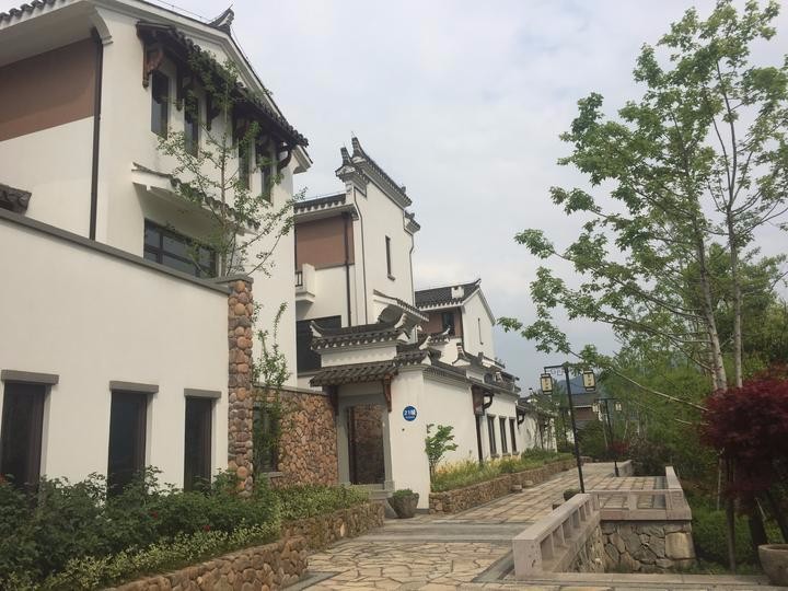 重磅!浙江开启高水平推进农村人居环境提升三