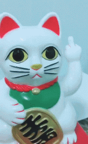 终于认清了女神的真面目!今天的动图有几个顶得住