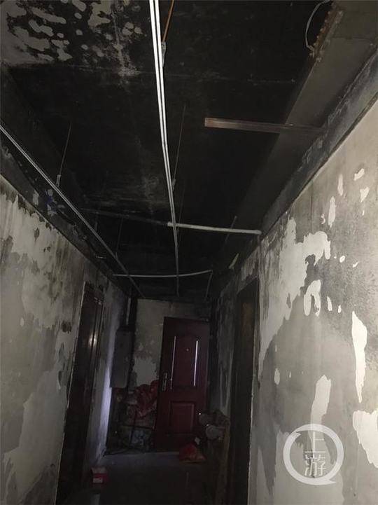 骰寶乾坤：在三枚骰子的碰撞聲中，聽見命運與智慧的迴響 