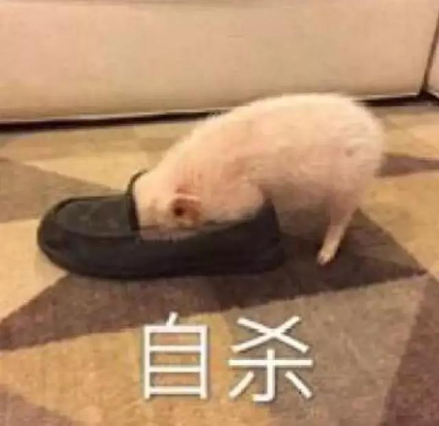 连精神科医生都害怕的男人,这次他对薛之谦下手了……