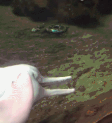 小姐姐原来喜欢这么大的 动图 这狗子比我脱得还快